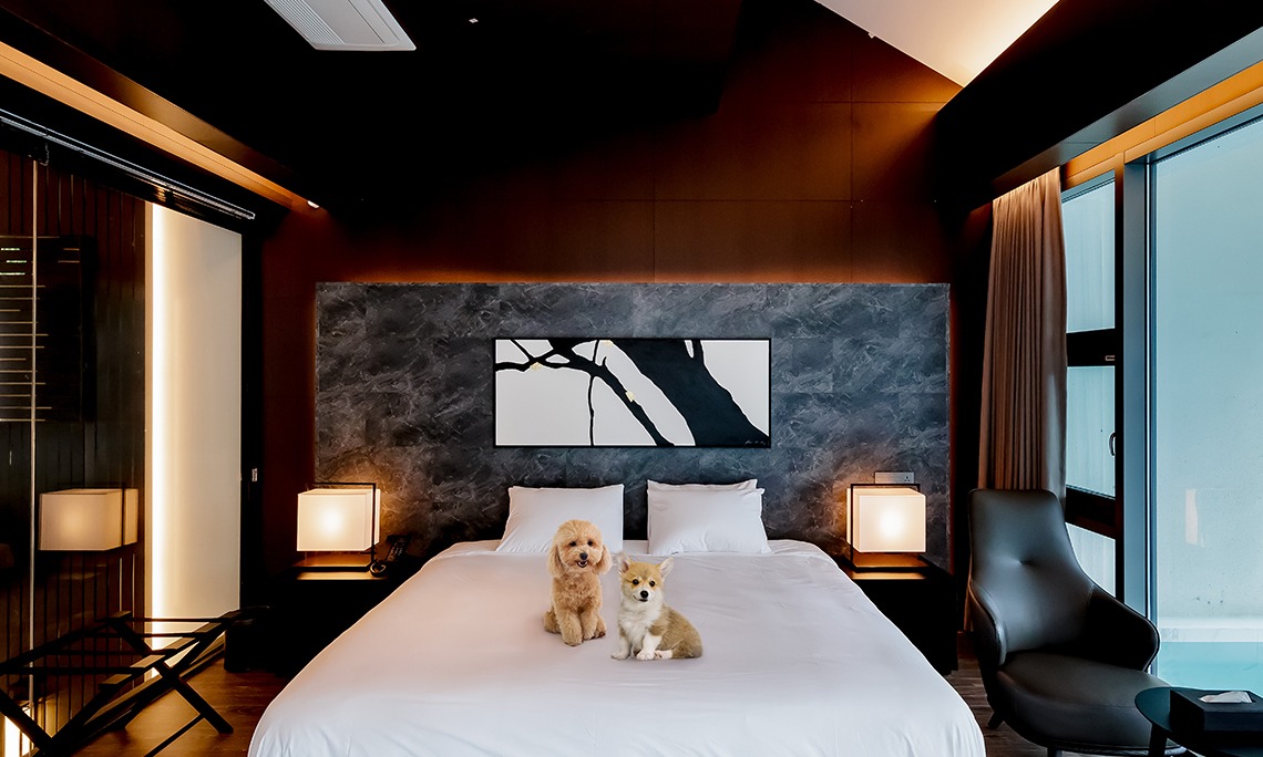 Penthouse Pet Friendly 이미지